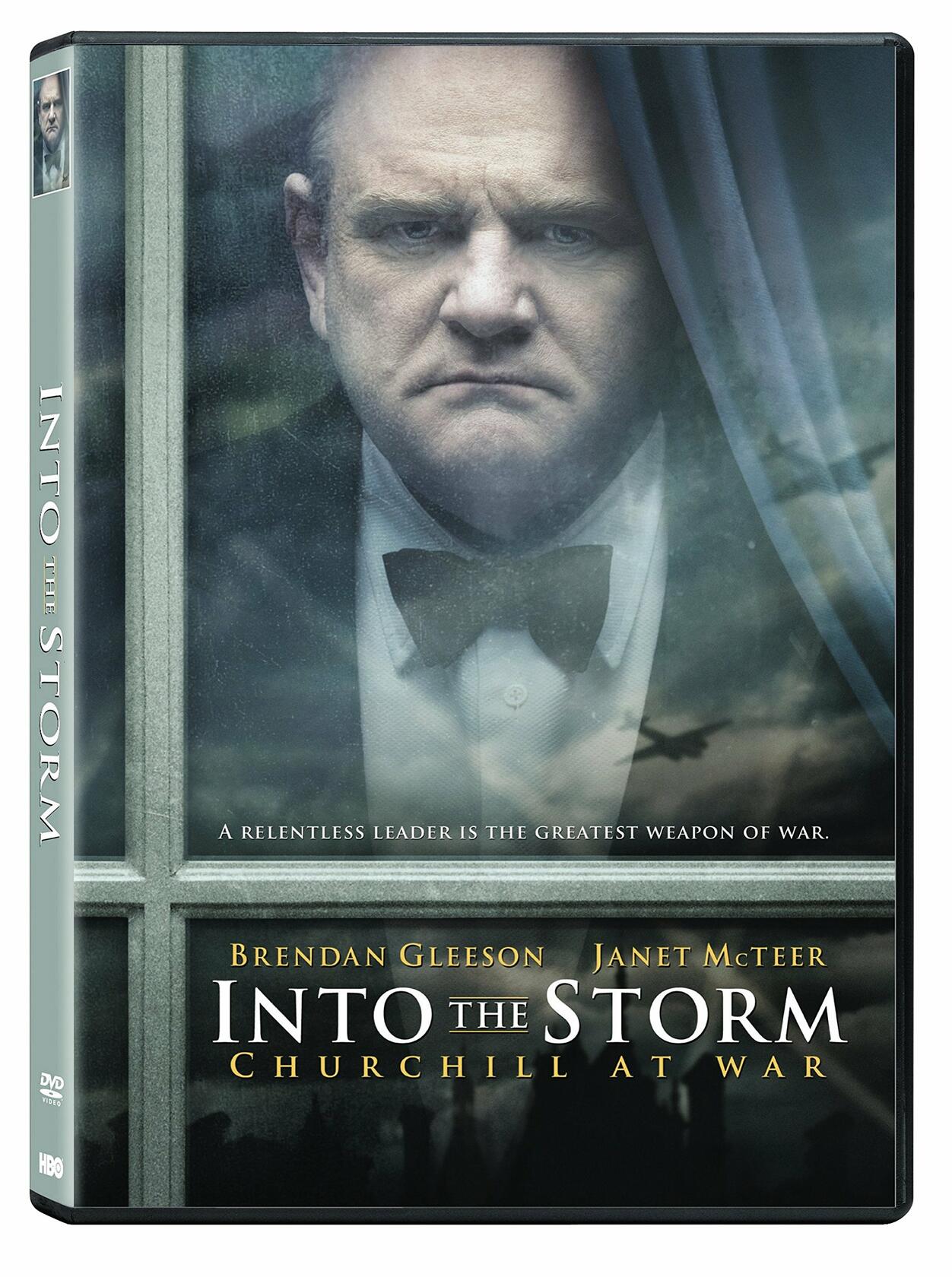 Into the Storm starring Brendan Gleeson, Janet McTeer, NR, cc