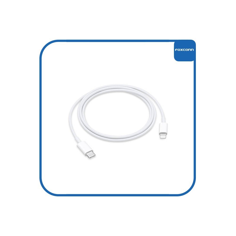 NEW 10 COUNT Foxconn 18W Wall Cubes/Brick &Type-C to 8-Pin Connector for iPhones