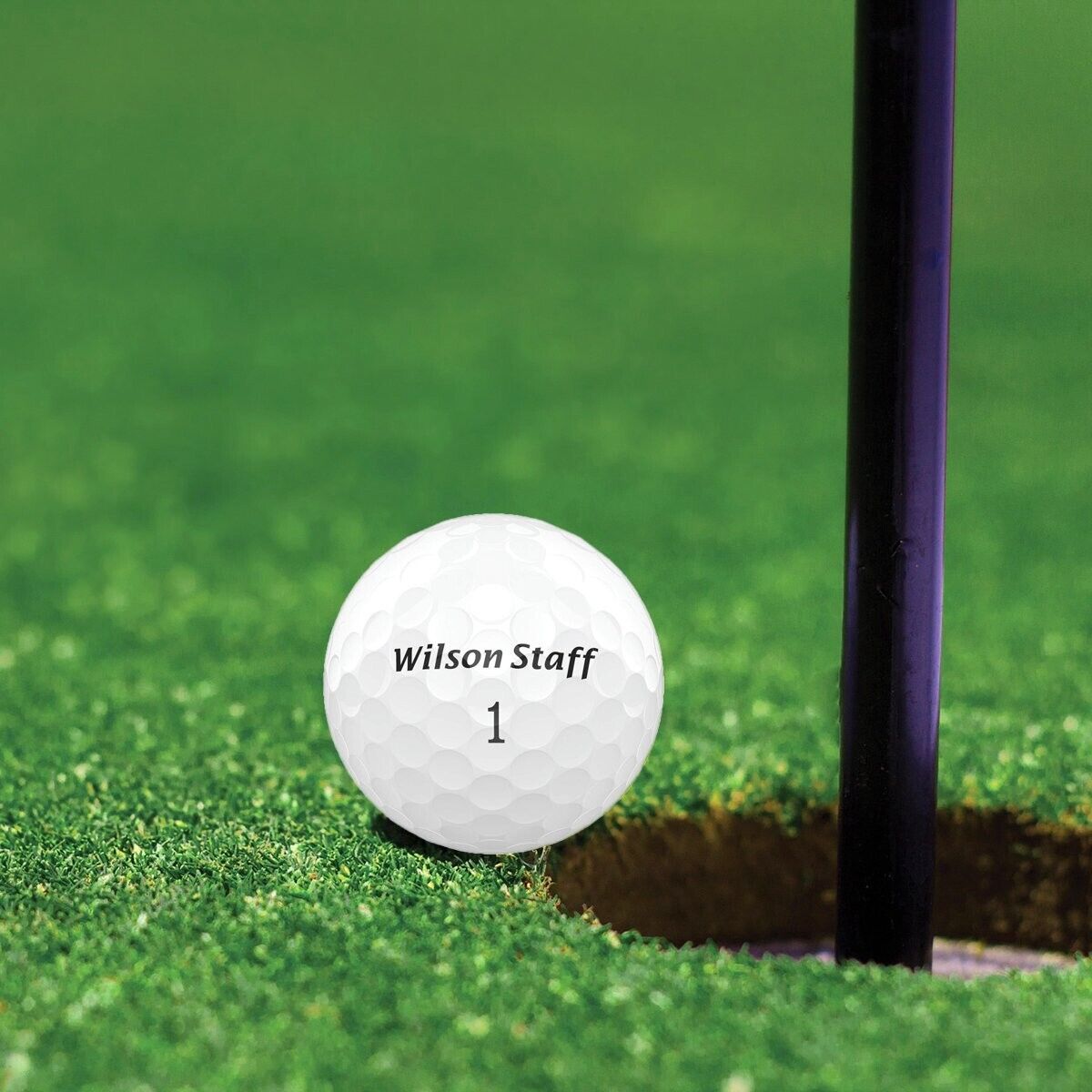 Wilson Staff Zip 302 Golf Balls - 12 Ball Pack - 2B1 Performance Achieved