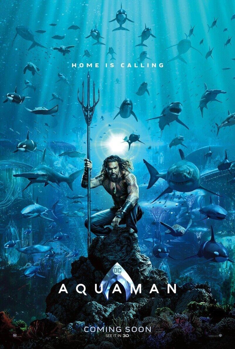 Aquaman DC Comics Movies DVD