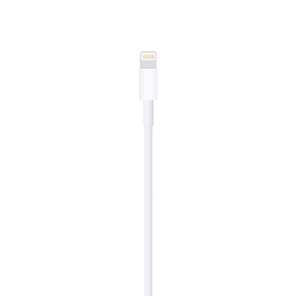 Apple 3ft. (1m) Lightning to USB Cable - White