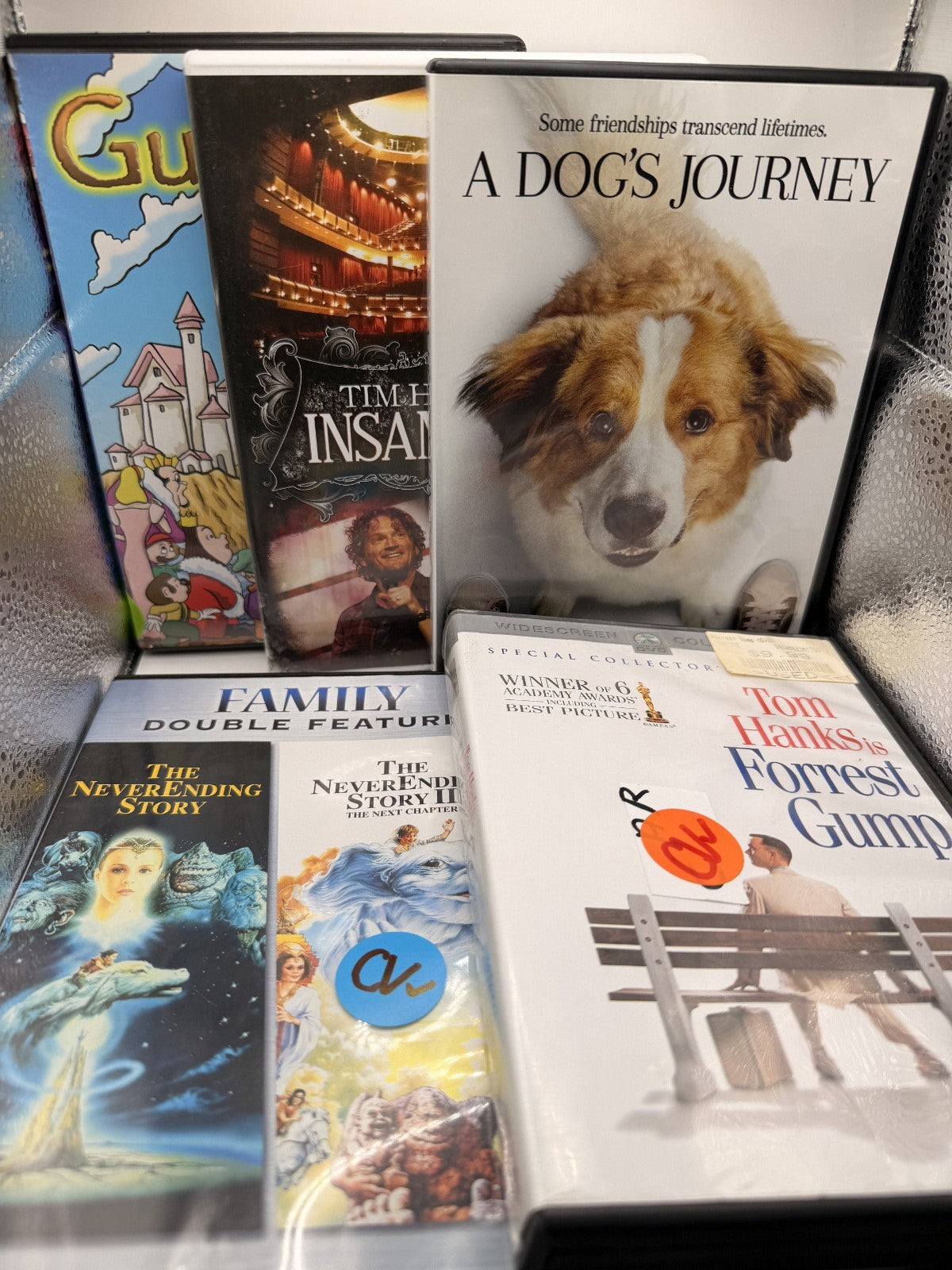 Family Adventure 5-movie Bundle – Forrest Gump, NeverEnding Story 1 & 2 & more