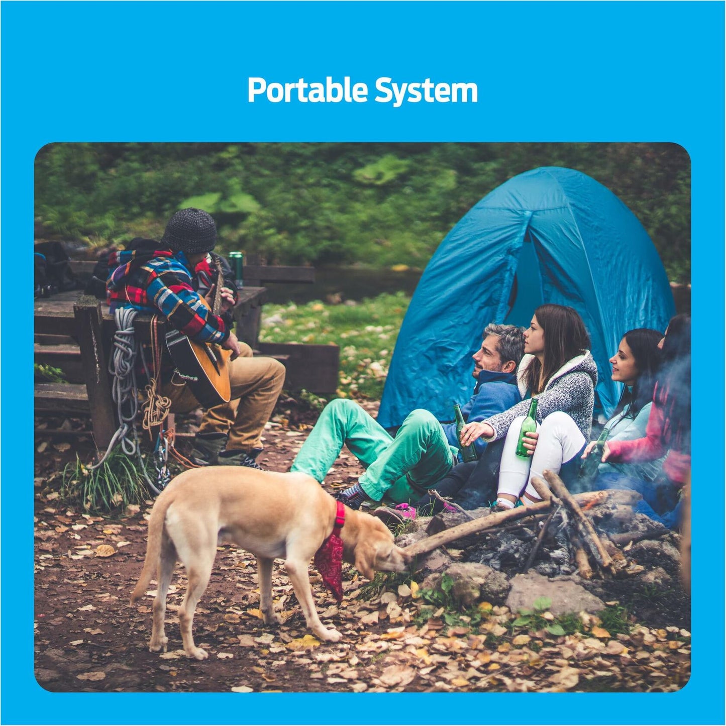 Premier Pet Wireless Dog Fence System - Circular Boundary - No Digging