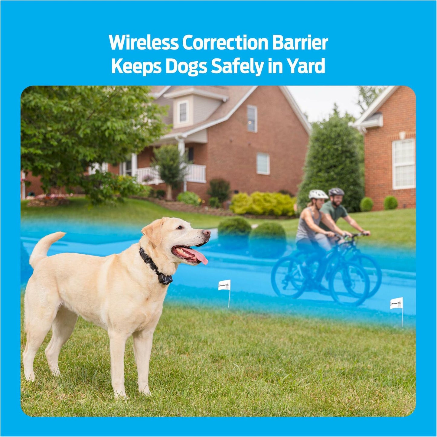 Premier Pet Wireless Dog Fence System - Circular Boundary - No Digging