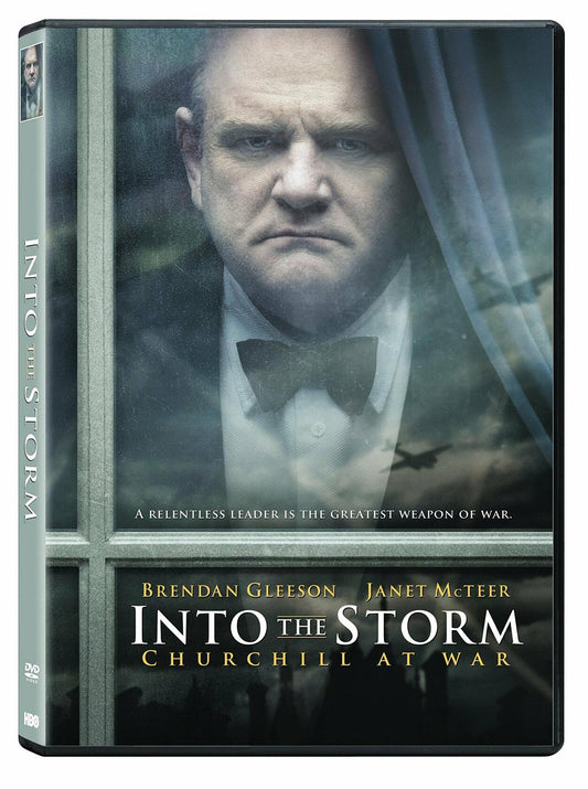 Into the Storm starring Brendan Gleeson, Janet McTeer, NR, cc