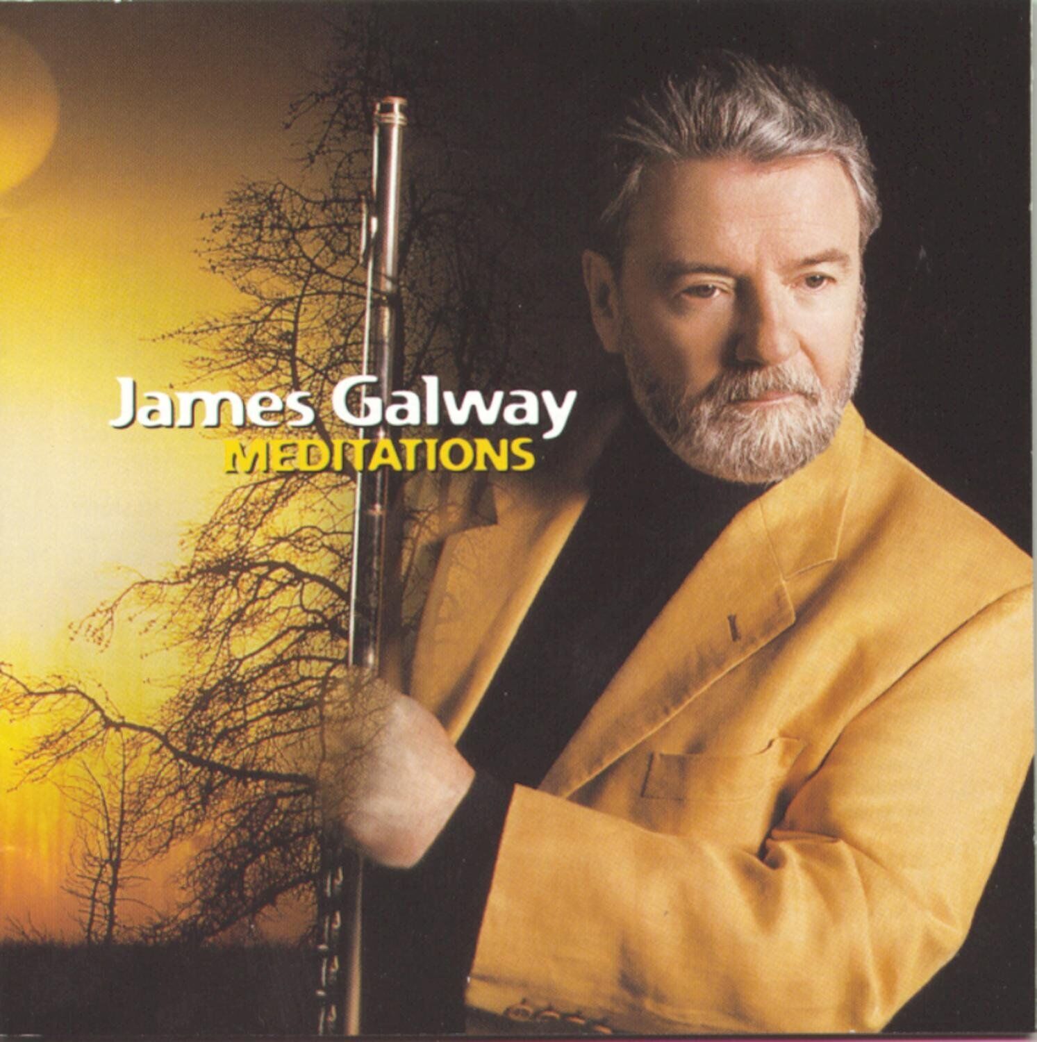 Meditations by James Galway (CD, 1998, 2 Discs, RCA)