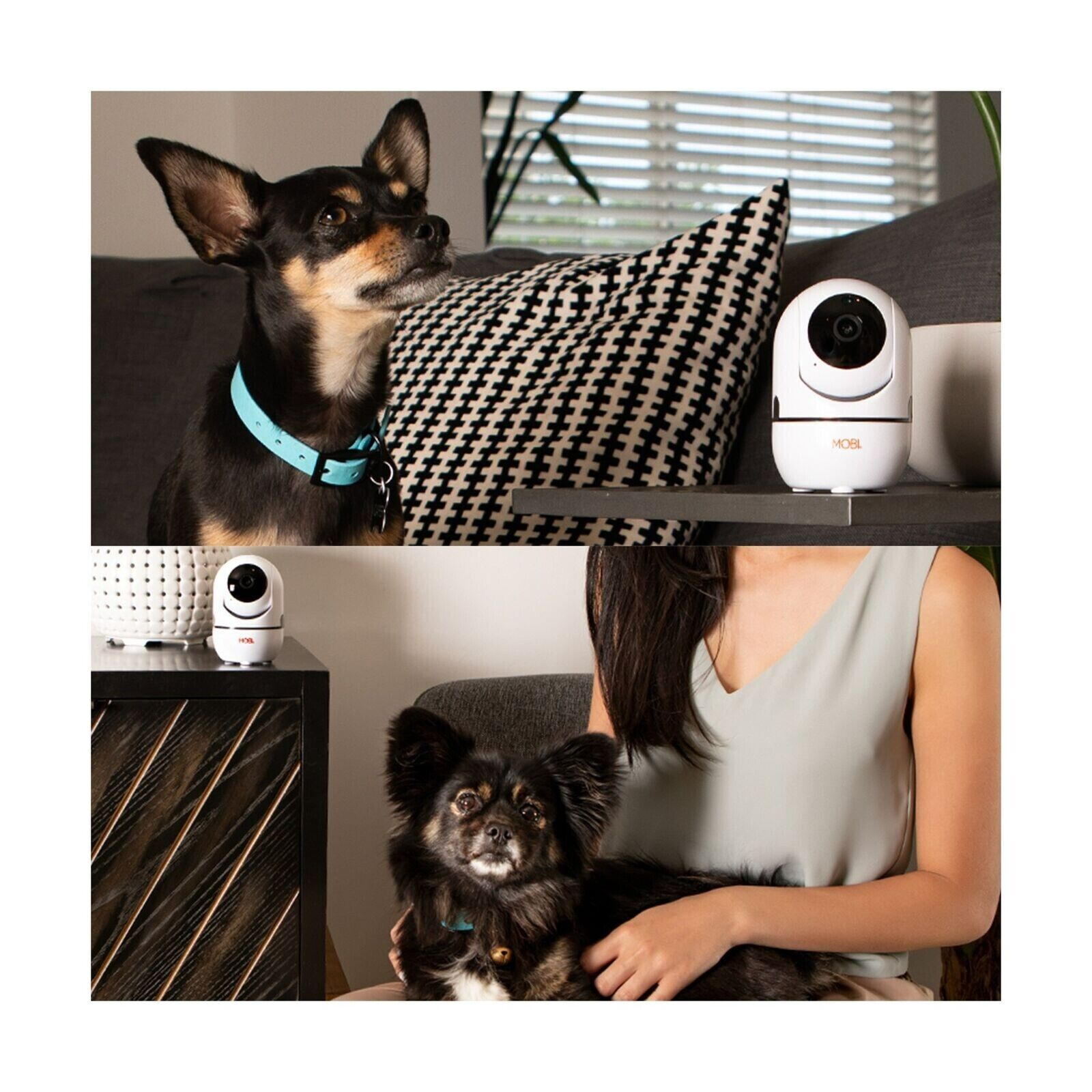 MobiCam HDX Smart HD Pet Monitor Wi-Fi Camera, Multi Room Monitoring Expandable